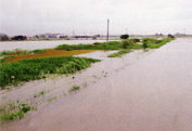 7月6日　大雨被害